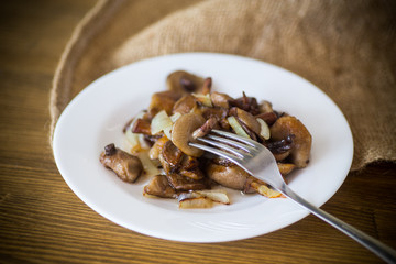 boletus mushrooms fried with onions in a plate