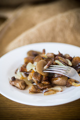 boletus mushrooms fried with onions in a plate