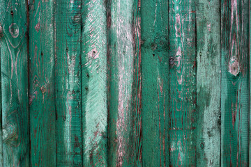 Fototapeta na wymiar texture green boards. the wood texture. background