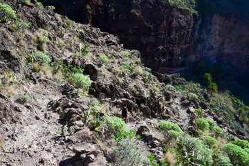 La Gomera: hinking from Alajeró to Imada, througth the Canyopn de Guarimiar and up to the Cabezo de las Vetilas
