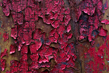 texture of old peeling red paint on the Board