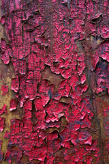 texture of old peeling red paint on the Board