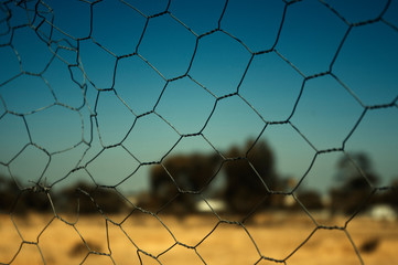 Fototapeta premium Wire Fence