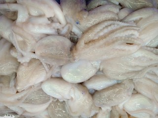 Fresh fish vol.8