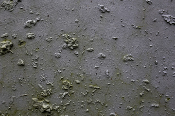 rough grey texture of the wall. small pimples
