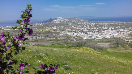 Blick über Santorini in Griechenland