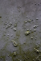 rough grey texture of the wall. small pimples