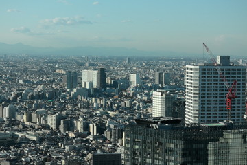 Fototapeta premium 東京の風景