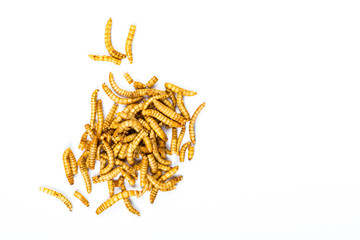 Edible fried insects suitable as food snack