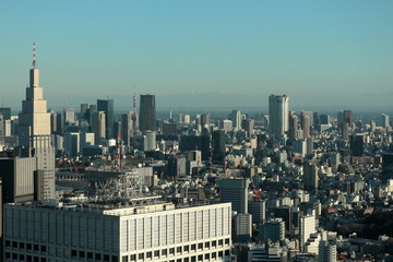 Fototapeta premium 東京の風景