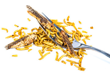 Edible fried insects suitable as food snack