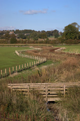 Wildlife conservation corridor between fields. Dumfries, Scotland. 