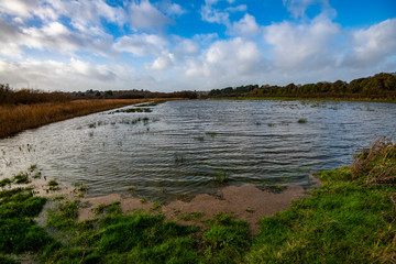 Marshland views i nthe winter-flooded Combe Valley near Bexhill in East Sussex, England