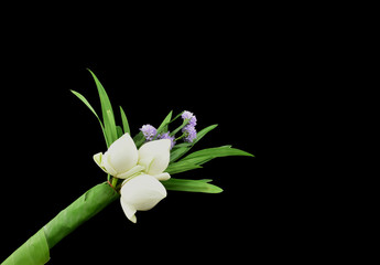  White lotus flower bouquet and pandan leaves to pay respect to Buddhism