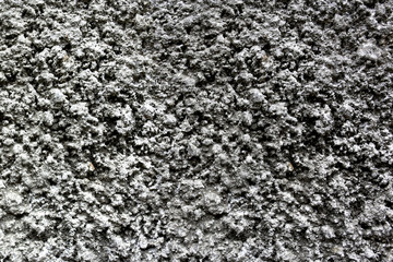 rough grey texture of the wall. small pimples