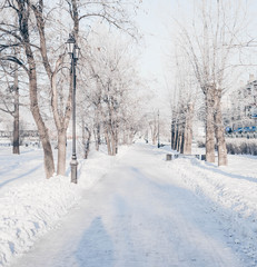 Winter park, snow-covered landscape