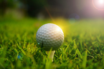 Blurred golf ball on tee in beautiful golf course at sunset background.