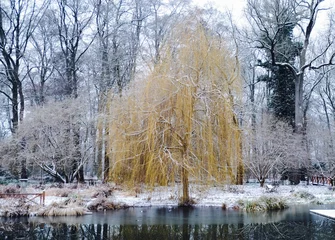 Foto auf Leinwand Winter im botanischen Garten  © sinclair56