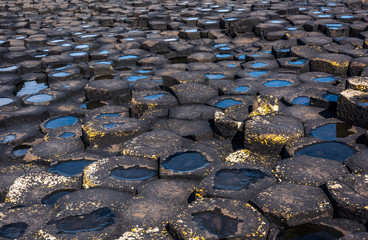Closeup of hexagonal basalt columns of Giant's Causeway, Northern Ireland