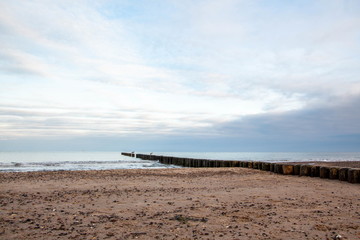 beach with wooden posts