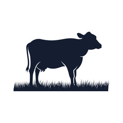 cow silhouette vector icon. black angus vector illustration