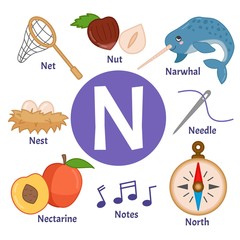 Vector cute kids animal alphabet. Letter N. Set of cute cartoon illustrations. 