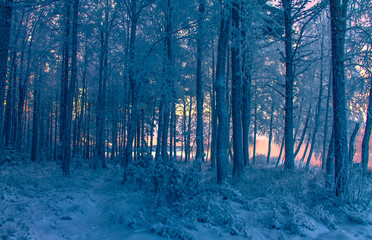 Snowy river view from Kuhmo, Finland.