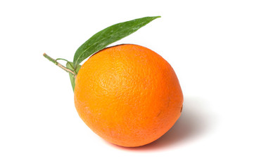 closeup of orange fruit with leaves on white background