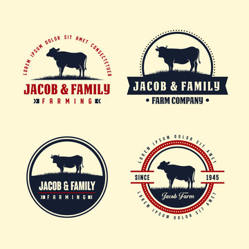 black angus logo design template. cow farm logo design
