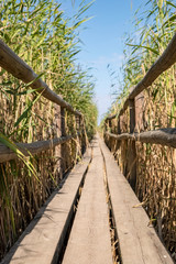 wooden bridge in the lake with reeds