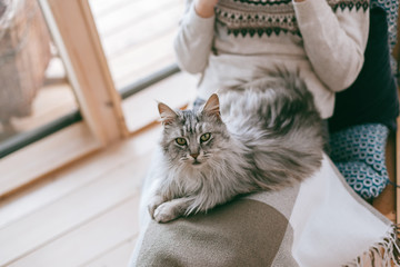 Girl relaxing with cat at home