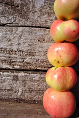 Apples standing vertical row on old gray wooden planks background