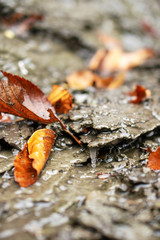 Close up fliessendes Wasser auf Fels