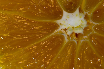 closeup of orange in water