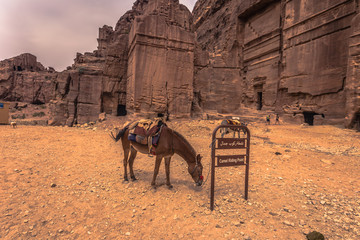 Petra - October 01, 2018: Ruins of the ancient city of Petra, Wonder of the World, Jordan