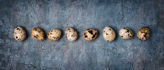 Top view on wide banner with small quail eggs