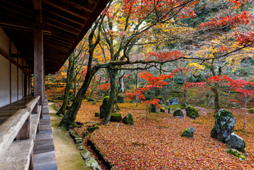 光明禅寺
