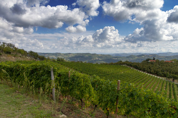 Naklejka premium Panorama dell'Alta Langa (Langhe, Piemonte)