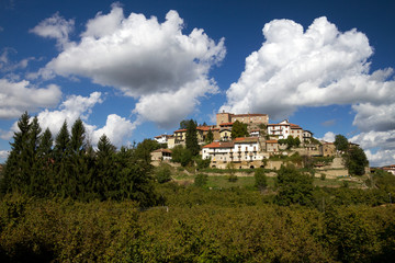 Fototapeta na wymiar Panorama dell'Alta Langa (Langhe, Piemonte)