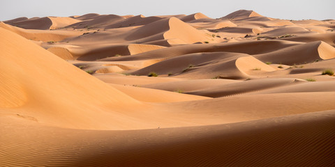 Wahiba sands, Oman desert