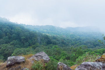 high cliff rock with heavy fog, cloud and mist in mon jong doi at Chaing mai, Thailand