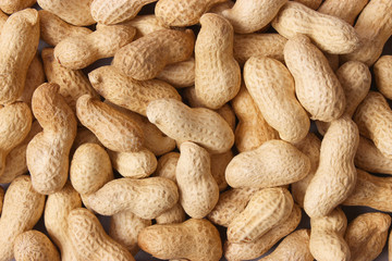  raw peanuts in the shell, background