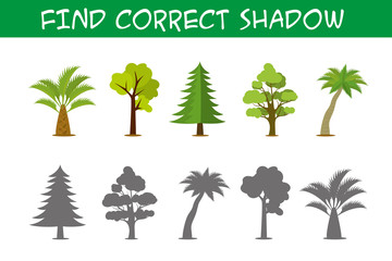 Obraz premium Kids game with trees,find correct shadows,