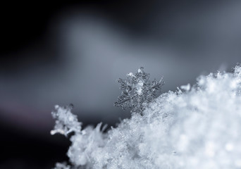 snowflake on snow, snow
