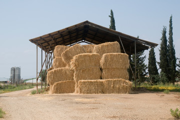 Bales of Straw in a shed