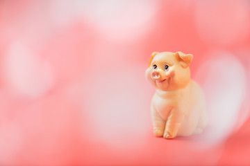 smiling piglet on the background of coral color. A Pig - symbol 2019 year. Pig card. piggy in festive bokeh. Copy space