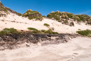 Wunderschönes Tasmanien - Cradle Coast