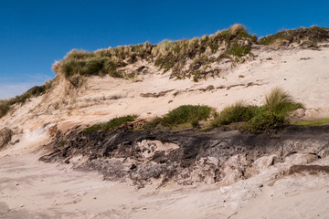 Wunderschönes Tasmanien - Dünen an der Cradle Coast