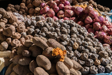 South American Market