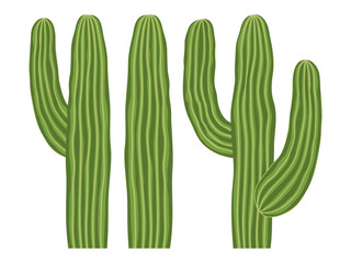Colorful cartoon mexican cactus set